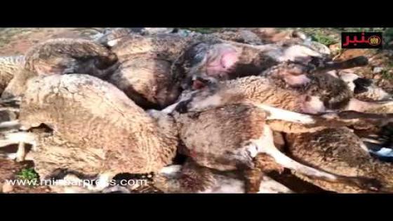 ساكنة الصخيرات يستنكرون بعدما فتح محل بيع الخمور ….بغينا مرافق عمومية ماشي محل الخمور