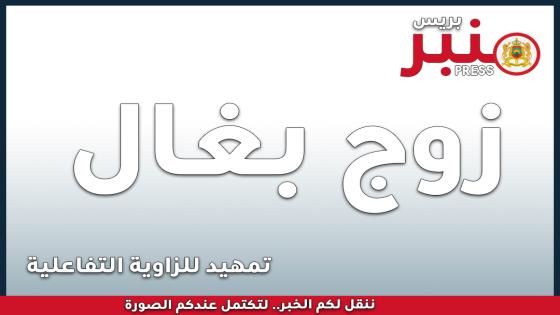 تمهيد لـ: زوج بغال  ؟